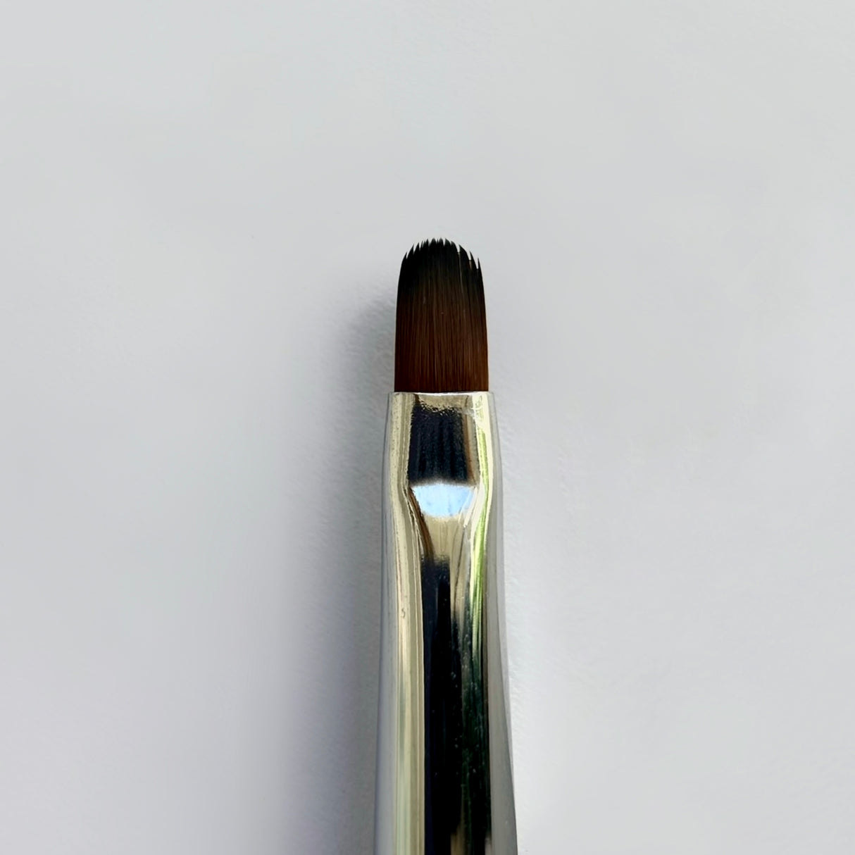 Paloma Brush Oval 8 mm