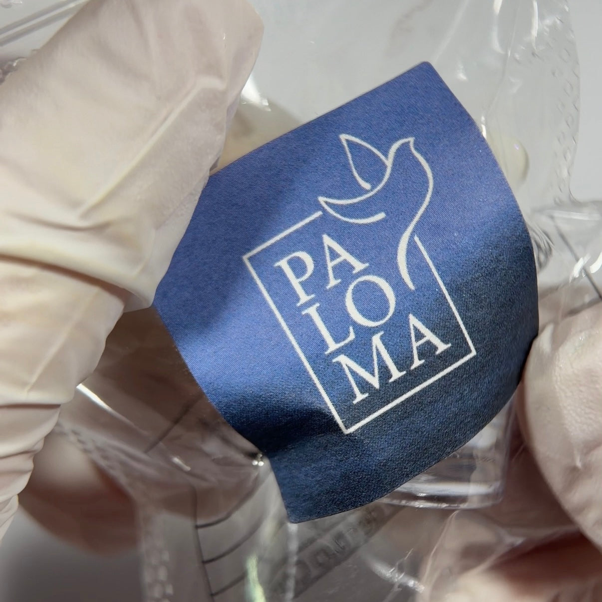 Paloma Clear Chrome Powder