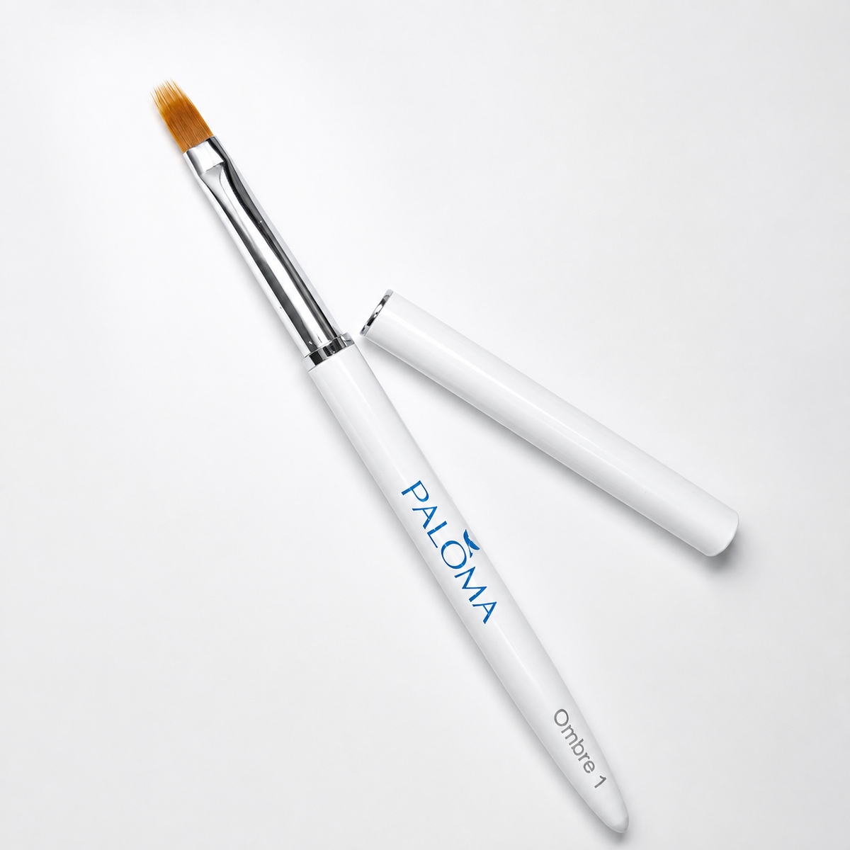 Paloma Brush Ombre 1