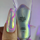 Nails Of The Day Liquid Powder 01, 5g