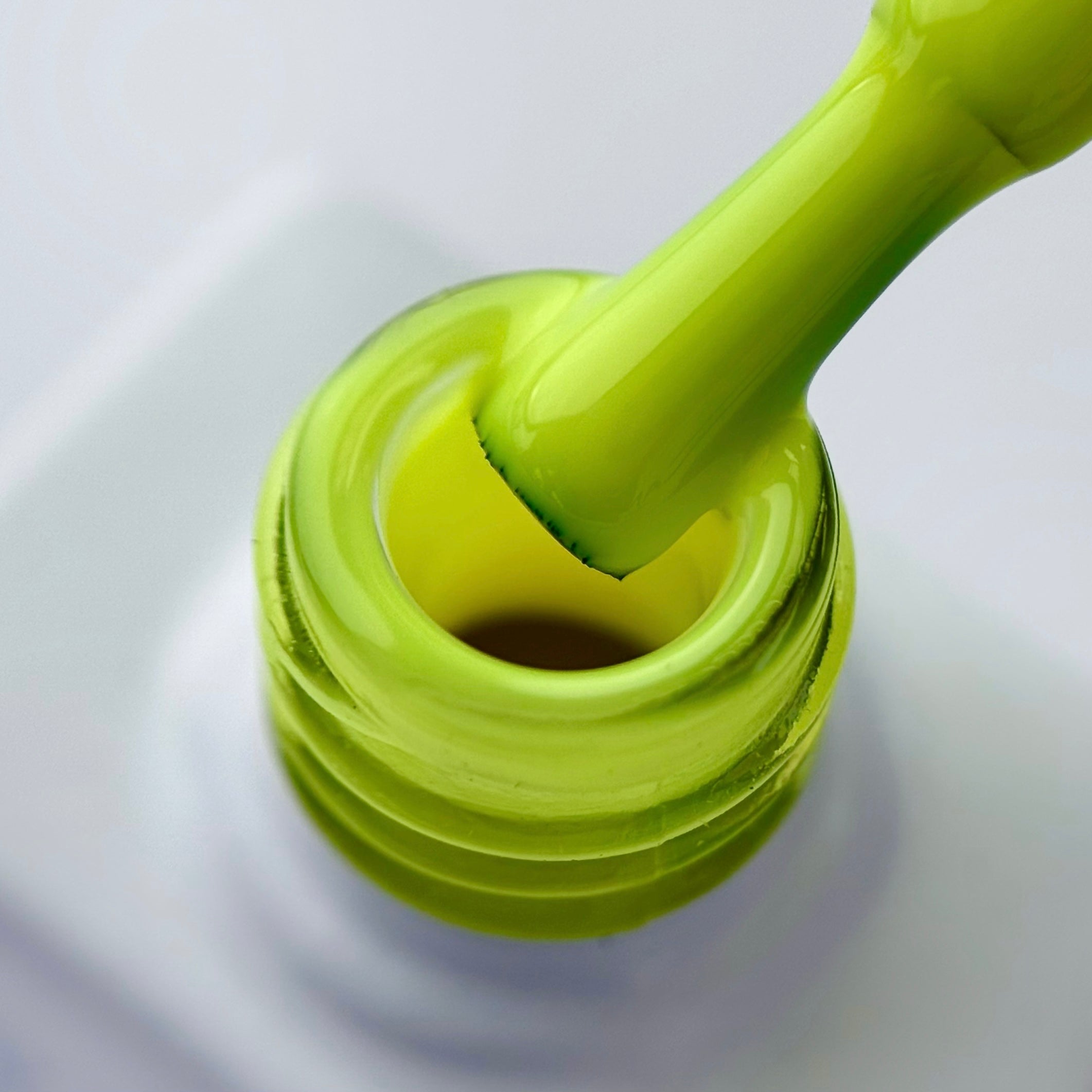 Paloma Easy Gel No. E019, 10 ml