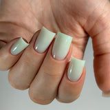 Paloma Color Builder Gel No. G033