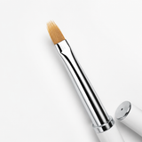 Paloma Brush Ombre 1
